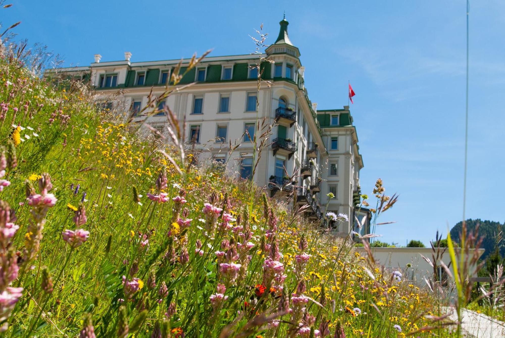 Grand Hotel Kronenhof Понтрезина Экстерьер фото